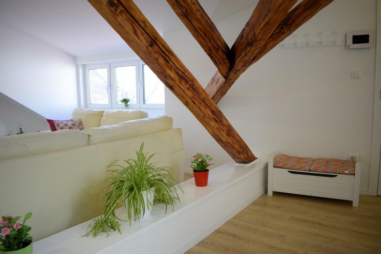 Apartment Rama Zagreb Dış mekan fotoğraf