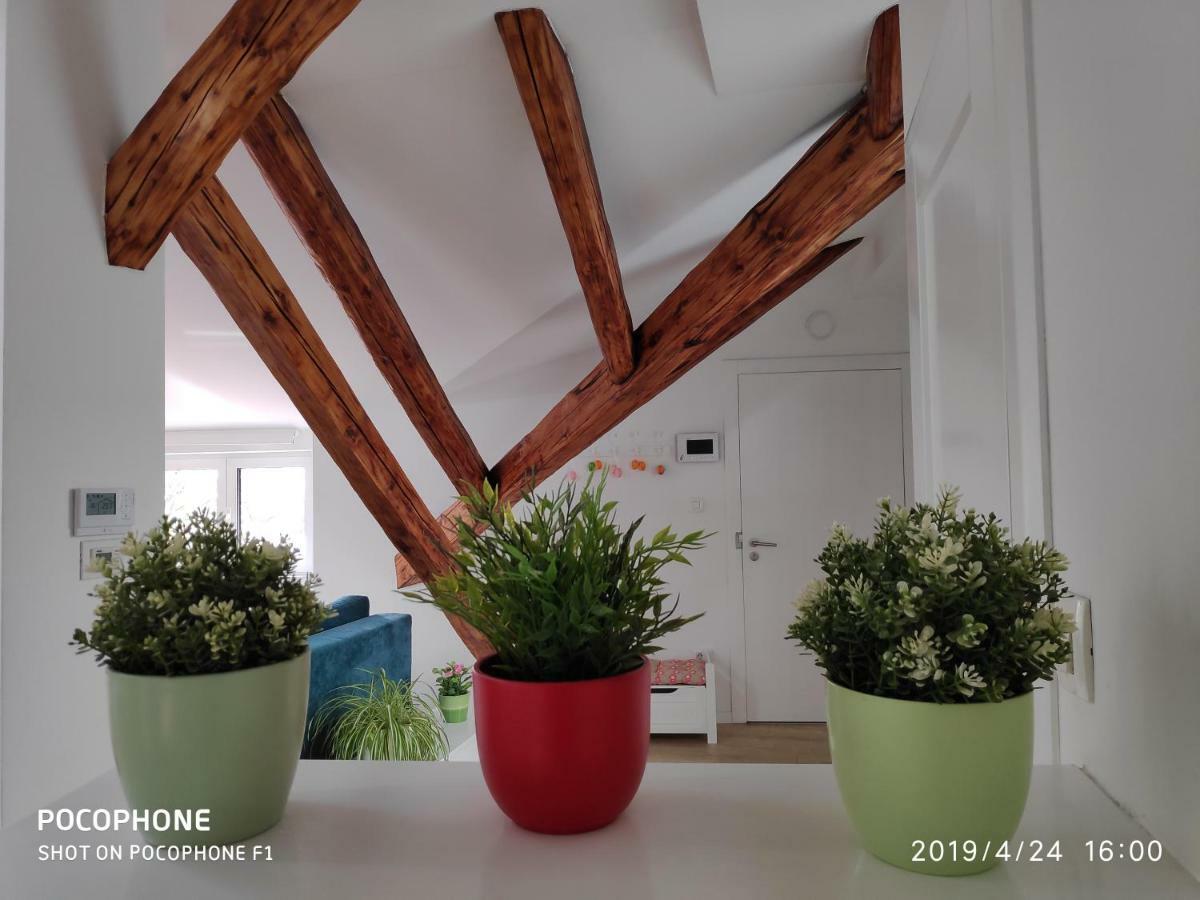 Apartment Rama Zagreb Dış mekan fotoğraf